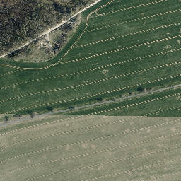 Satellite imagery of Bornberg, DE