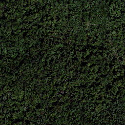 Satellite imagery of Heiligenberg, DE