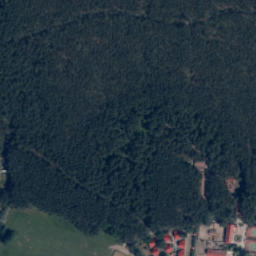 Satelita