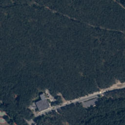 Satelita