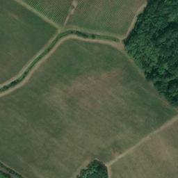 Satellite imagery of Boxley Abbey, GB