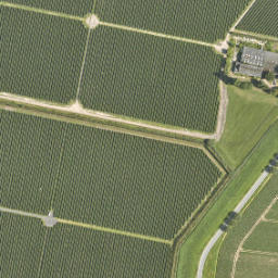 Satellite imagery of Gp 271, NL