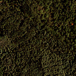 Satellite imagery of W.Z.L. 04750-94444, NL