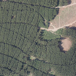 Satellite imagery of Dümberg, DE