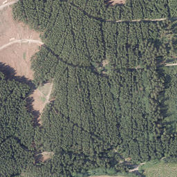 Satellite imagery of Dümberg, DE