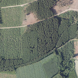 Satellite imagery of Dümberg, DE