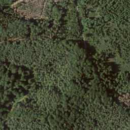 Satellite imagery of Brandrückenkopf, DE