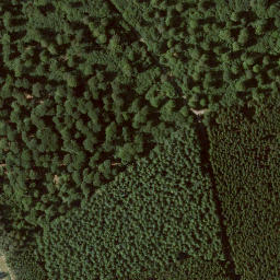 Satellite imagery of Halsberg, DE