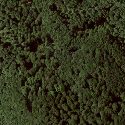 Satellite imagery of Wattenberg, DE