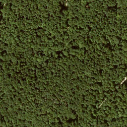 Satellite imagery of Mittelberg, DE