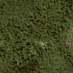 Satellite imagery of Mittelberg, DE