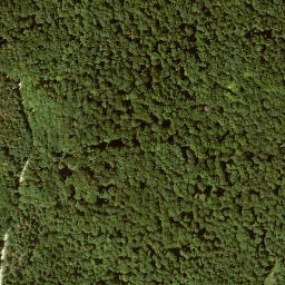 Satellite imagery of Schnellerskopf, DE