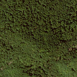 Satellite imagery of Schnellerskopf, DE