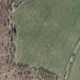 Satellite imagery of Bornberg, DE