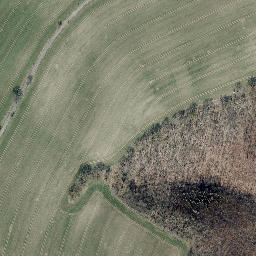 Satellite imagery of Bornberg, DE