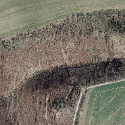 Satellite imagery of Bornberg, DE