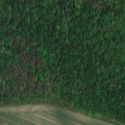 Satellite imagery of Mittelberg, DE