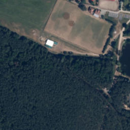 Satelita