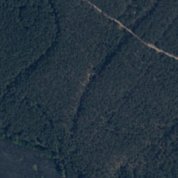 Satelita