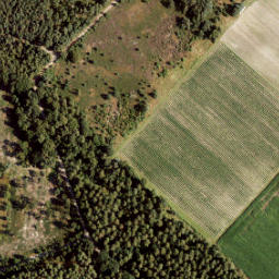 Satellite imagery of 175, NL