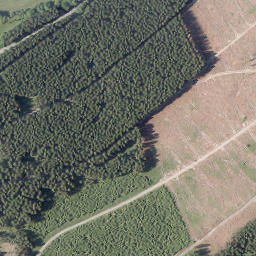 Satellite imagery of Ramberg, DE