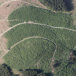 Satellite imagery of Ramberg, DE