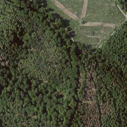 Satellite imagery of Brandrückenkopf, DE