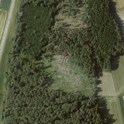 Satellite imagery of Bauenstein, DE