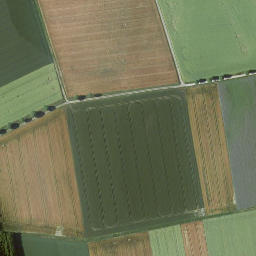Satellite imagery of Bauenstein, DE