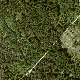 Satellite imagery of Schnellerskopf, DE