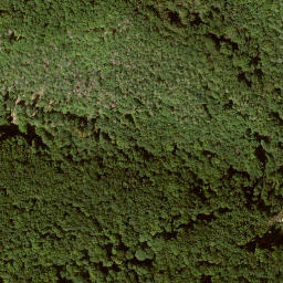 Satellite imagery of Schnellerskopf, DE