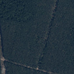 Satelita