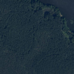 Satelita