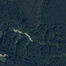 Satelita