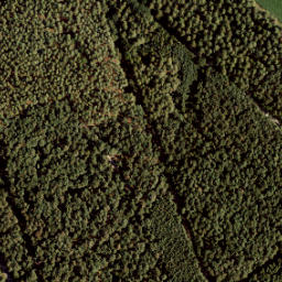 Satellite imagery of 175, NL