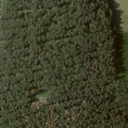 Satellite imagery of Bauenstein, DE
