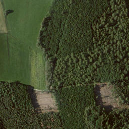 Satellite imagery of Bauenstein, DE
