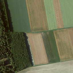 Satellite imagery of Bauenstein, DE