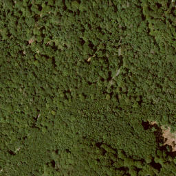 Satellite imagery of Hirzstein, DE