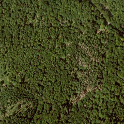 Satellite imagery of Roggenberg, DE