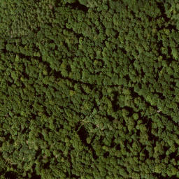 Satellite imagery of Roggenberg, DE