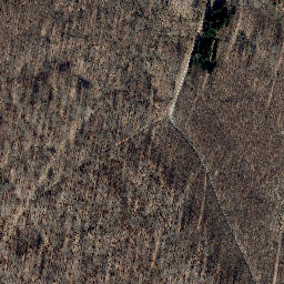 Satellite imagery of Kahlenberg, DE