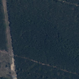 Satelita