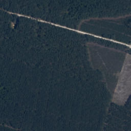 Satelita