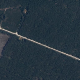 Satelita