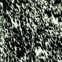 Satellite imagery of Farm Pass, CA