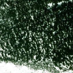 Satellite imagery of Napoleon Spur, CA