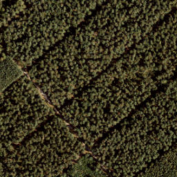 Satellite imagery of 175, NL