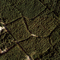 Satellite imagery of 175, NL