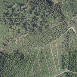 Satellite imagery of Hoher Stein, DE
